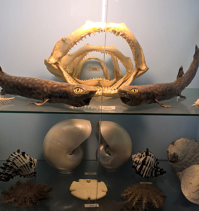 Natural History Museum Ligourio
